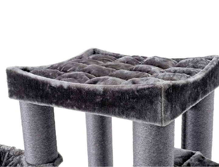 Nobby Kratzbaum Rubi